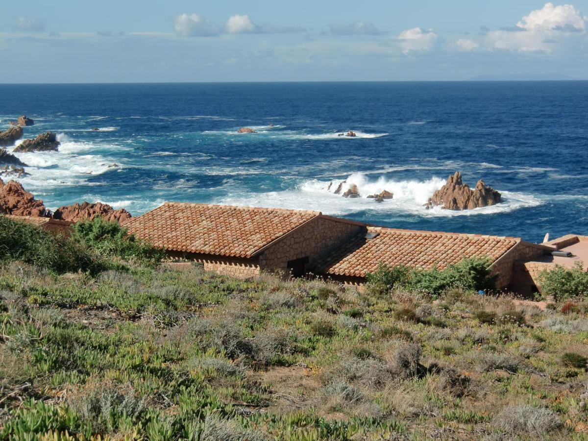 Apartmán Romantica E Accogliente Casa In Costa Paradiso Exteriér fotografie